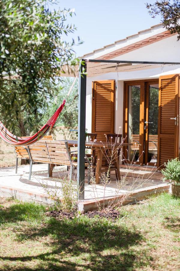 Agriturismo Fontetrilla オルベテッロ エクステリア 写真