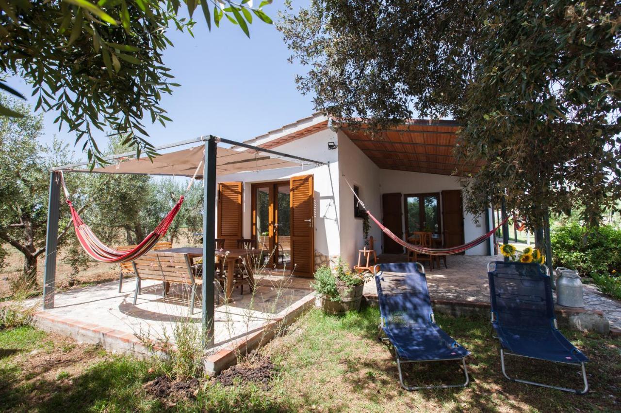 Agriturismo Fontetrilla オルベテッロ エクステリア 写真