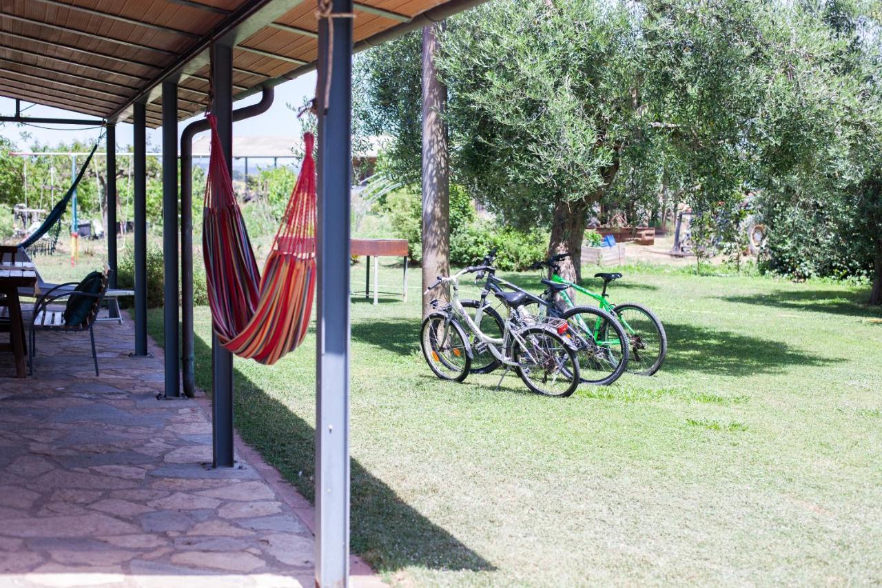 Agriturismo Fontetrilla オルベテッロ エクステリア 写真