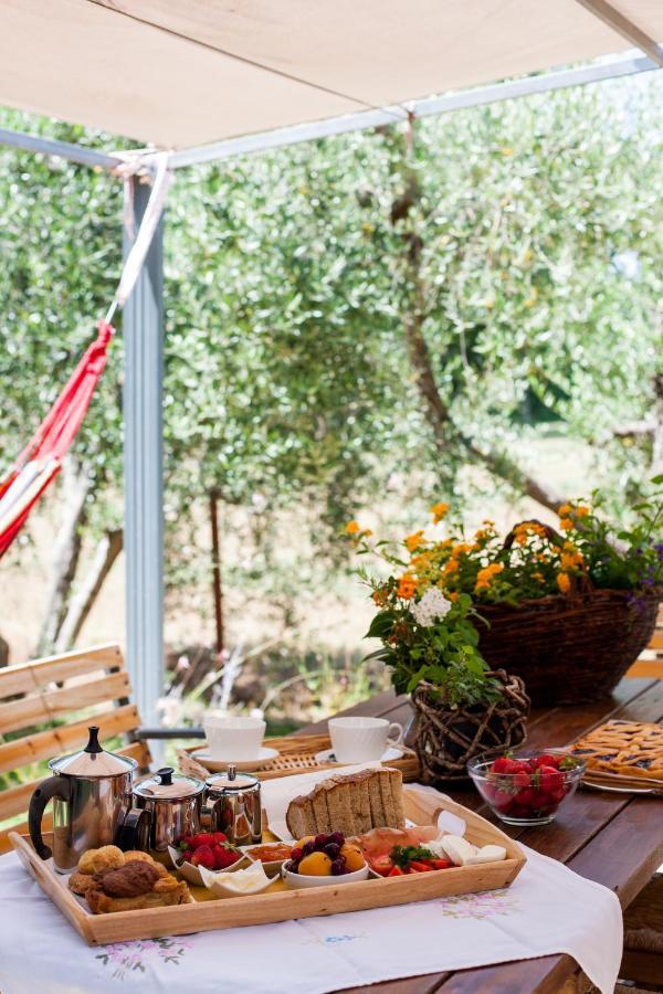Agriturismo Fontetrilla オルベテッロ エクステリア 写真