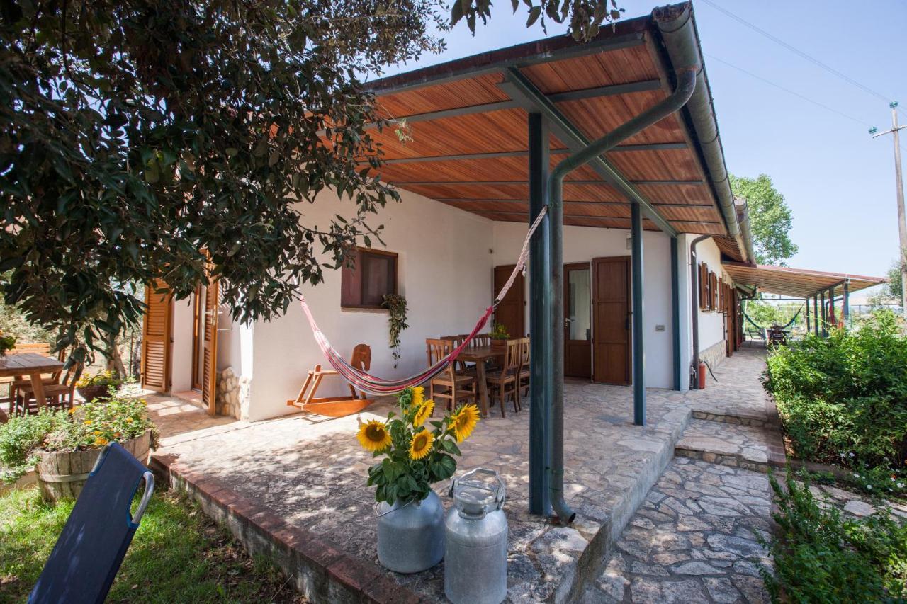 Agriturismo Fontetrilla オルベテッロ エクステリア 写真