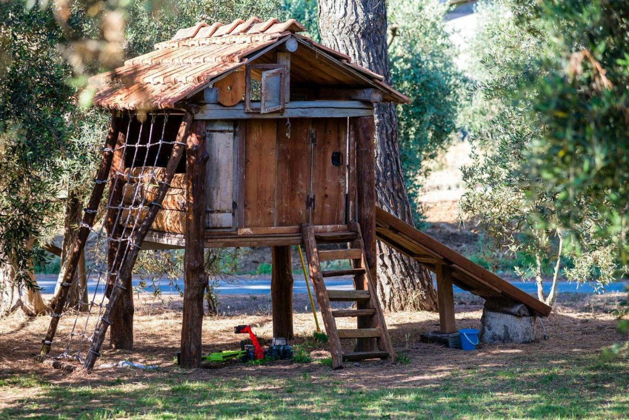 Agriturismo Fontetrilla オルベテッロ エクステリア 写真